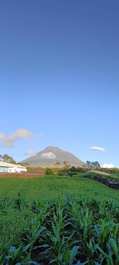 Dream View In Pico Villa Criacao Velha Dış mekan fotoğraf